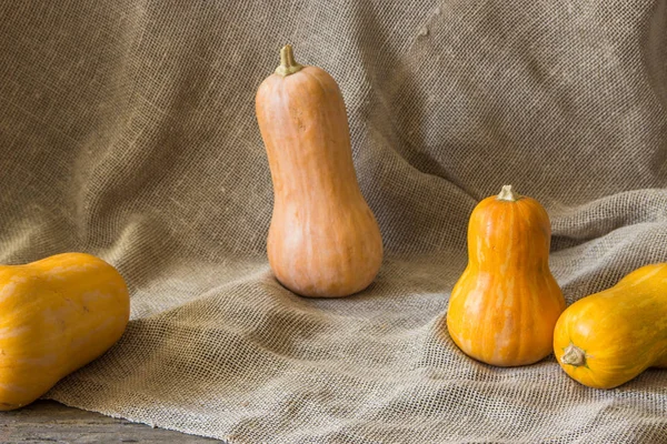 Pompoenen op de houten achtergrond. Vier baby pompoenen — Stockfoto