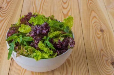 Salata yaprakları, mor marul, ıspanak, roka. Karışık taze sala