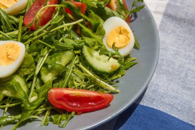 Roka, domates, yumurta ve salatalık ile taze yeşil salata