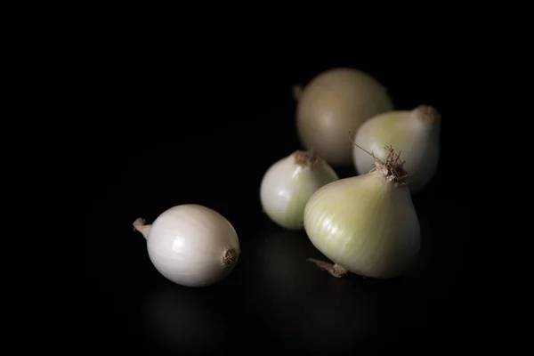 Cebolas brancas. Cebola branca crua orgânica fresca — Fotografia de Stock