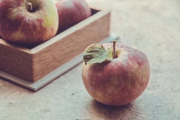 Свежие яблоки осенью. Яблоки с пыльцой на коже . — стоковое фото