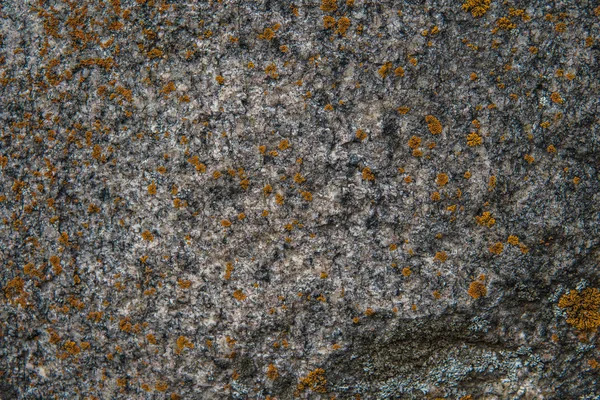 Texture pierre. Texture motif de la nature. Texture de pierre sans couture — Photo