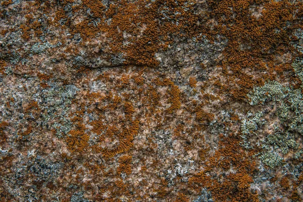 stock image Stone texture. Pattern texture of nature. Seamless stone texture