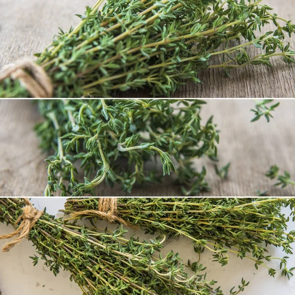 Коллаж с тимьяном, свежая трава для приготовления пищи — стоковое фото