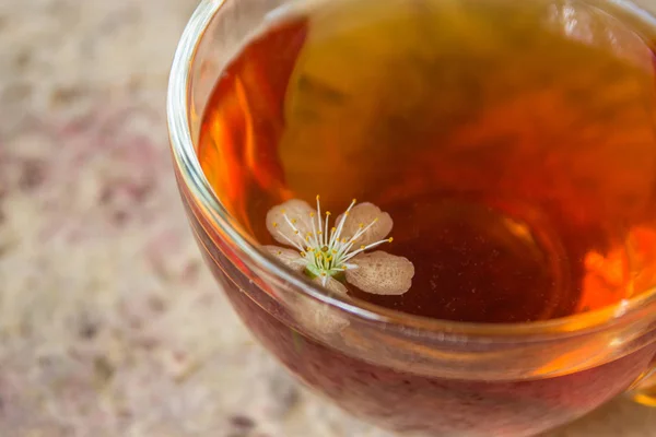 Tea and branches of a blossoming cherry tree — Stock Photo, Image