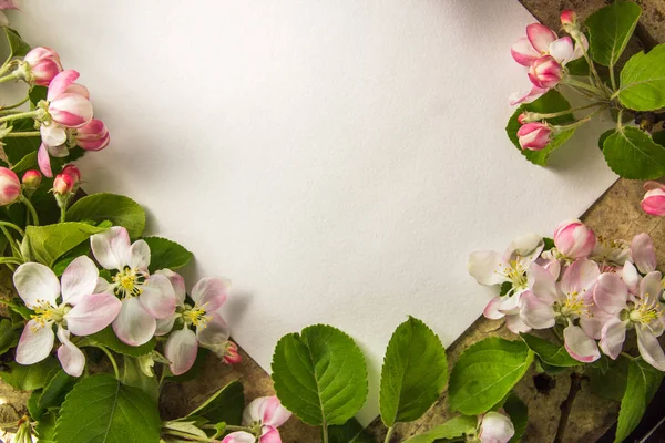 Papel con ramas de manzana florecientes, espacio para copiar — Foto de Stock