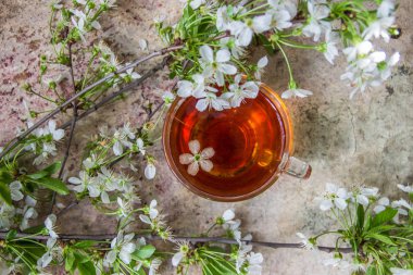 Çay ve kiraz çiçek ağacın