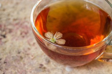 Çay ve kiraz çiçek ağacın