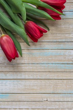 Kopya spac ile kırmızı lale Üstten Görünüm