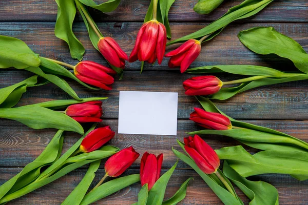 Tulipanes rojos y espacio de copia para su texto — Foto de Stock
