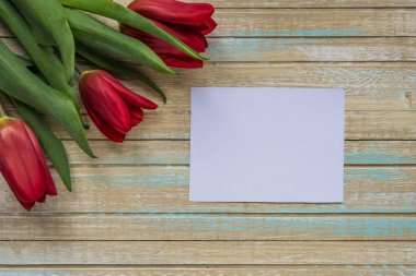 Kırmızı lale ve metniniz için boş oyun kağıdı