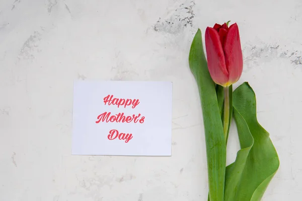 Tarjeta Feliz Día de la Madre con tulipanes rojos — Foto de Stock