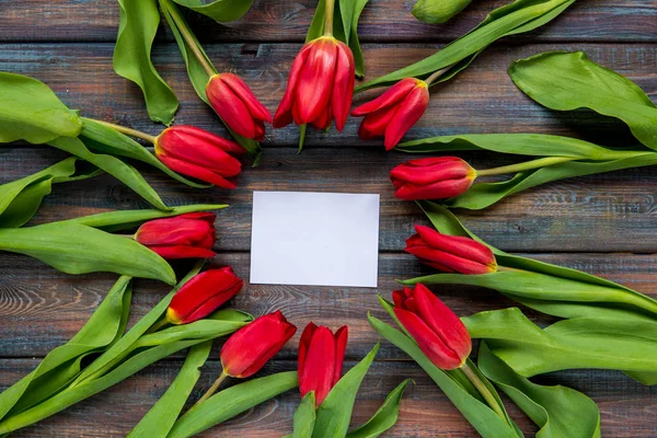 Tulipanes rojos y espacio de copia para su texto — Foto de Stock