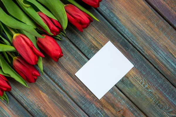 Vörös tulipán és a szöveg üres kártya — Stock Fotó