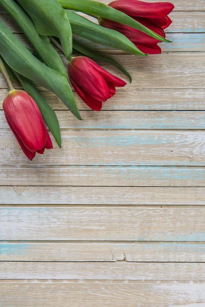 Vista superior de tulipanes rojos con spac de copia — Foto de Stock