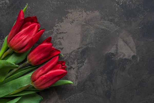 Vista superior de tulipanes rojos con spac de copia — Foto de Stock