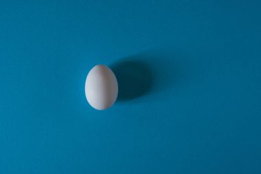 Beyaz yumurta bir mavi arka plan Üstten Görünüm