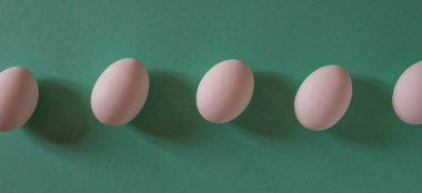 Beyaz bir arka planı yeşil üstten görünüm yumurta