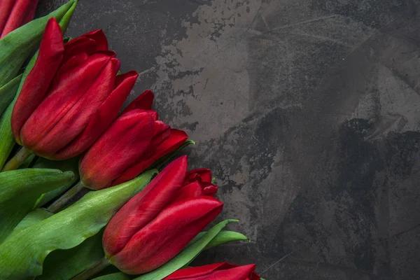 Vista superior de tulipanes rojos con spac de copia — Foto de Stock