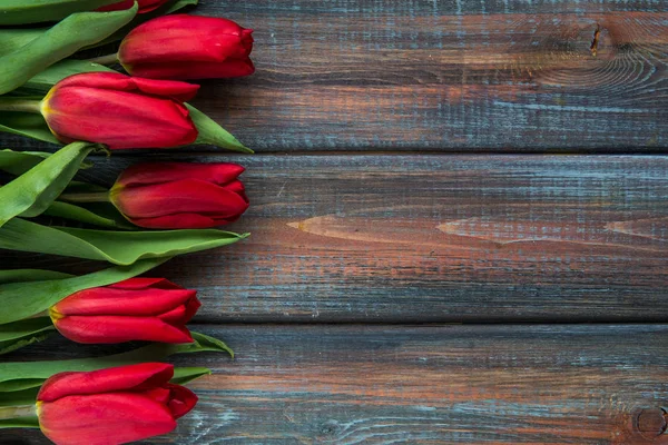 Vista superior de tulipanes rojos con spac de copia — Foto de Stock