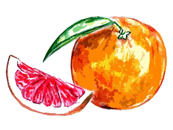 Oranje Grapefruit Witte Achtergrond — Stockfoto