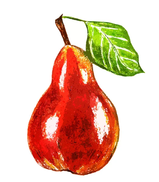 白い背景に葉を持つ赤い梨 — ストック写真