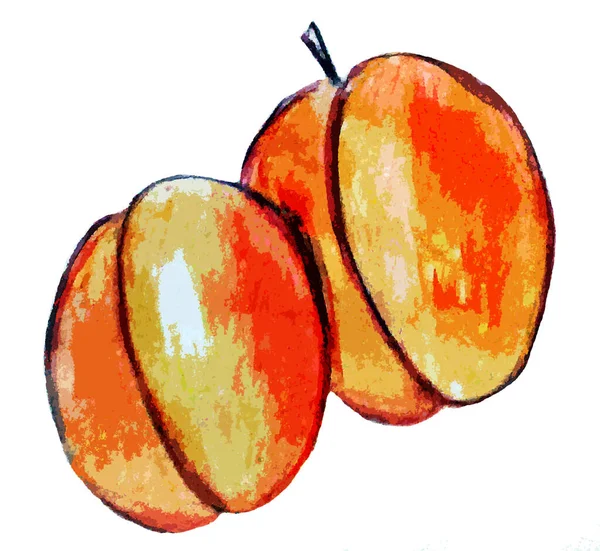 Two Painted Apricots White Background — Stock Photo, Image