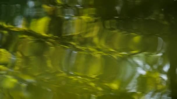 Superficie del agua en el río — Vídeo de stock