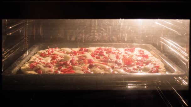 Pizza is sült a kemencében, főzés pizza. Közeli kép:. — Stock videók