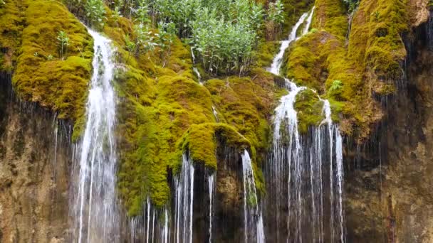 Ruisseau cascade coule vers le bas d'une roche couverte de mousse — Video