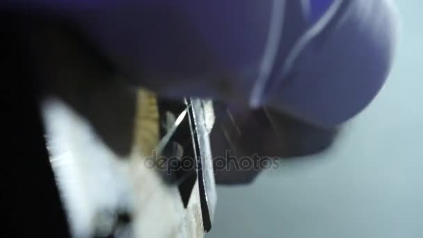 Homem está tocando tradicional instrumento musical close-up — Vídeo de Stock