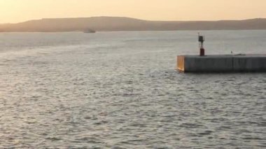 gün batımında, Karadeniz, bağlantı noktası Caucasus Lighthouse yakınındaki liman su alanı grup yunuslarla yüzmek