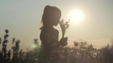 güzel bir kız silüeti lavanta bir buket günbatımı kırsal kesimde burnunu çekmek