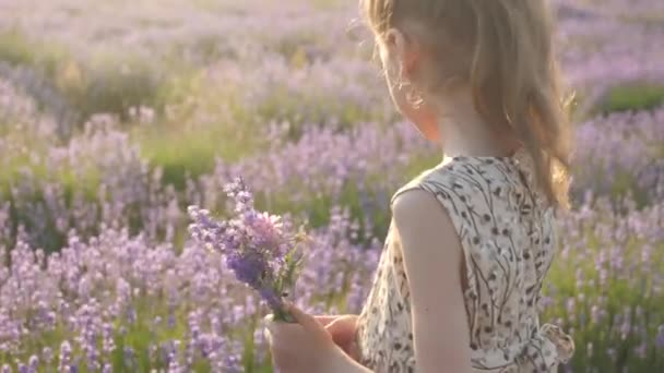 Close Bela Jovem Campo Recolhe Flores Mágico Luz Noite Pôr — Vídeo de Stock