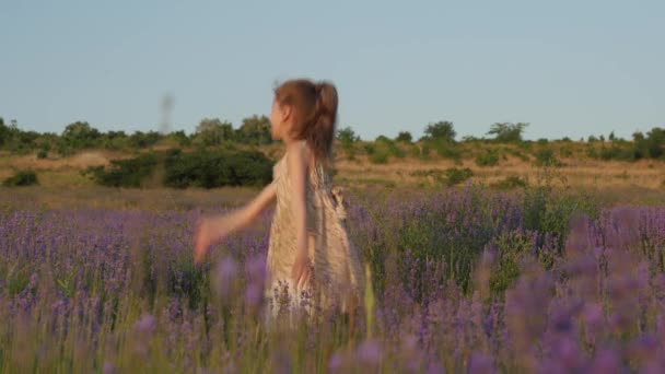 可爱的小女孩在日落时 在美丽的薰衣草田野上 她脸上带着微笑嬉戏地跳舞 — 图库视频影像