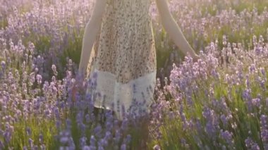 yakın çekim küçük kız hafifçe lavanta çiçekleri günbatımı yaz aylarında dokunmadan el