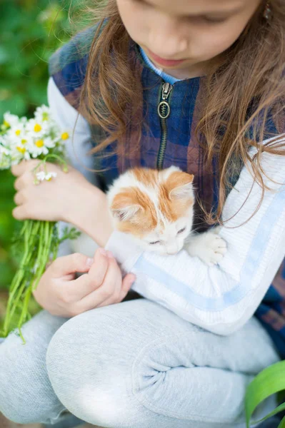 Petite fille tenant chaton et un bouquet de camomilles sur ses mains — Photo