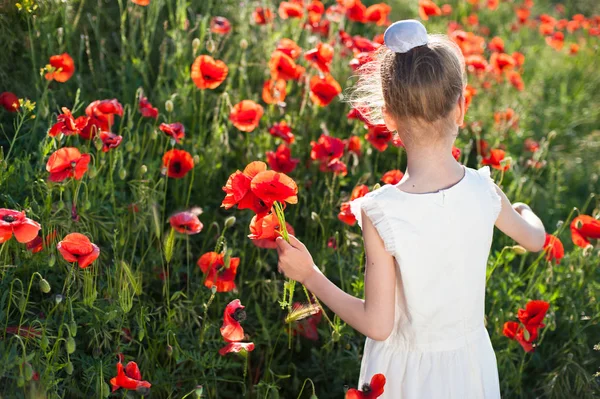 Vissza a gyönyörű kislány gyűjtő virágok virágzó Pipacsok lejtőn tavasszal — Stock Fotó