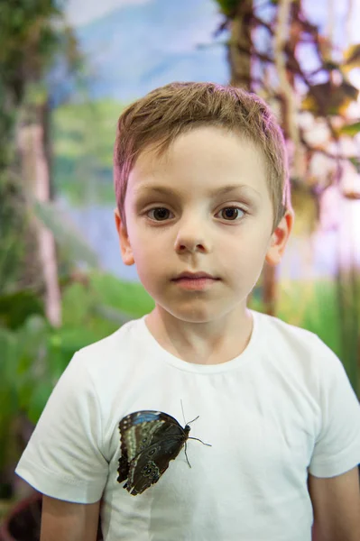 Schattige kleine jongen met een vlinder zitten op zijn borst binnenshuis — Stockfoto