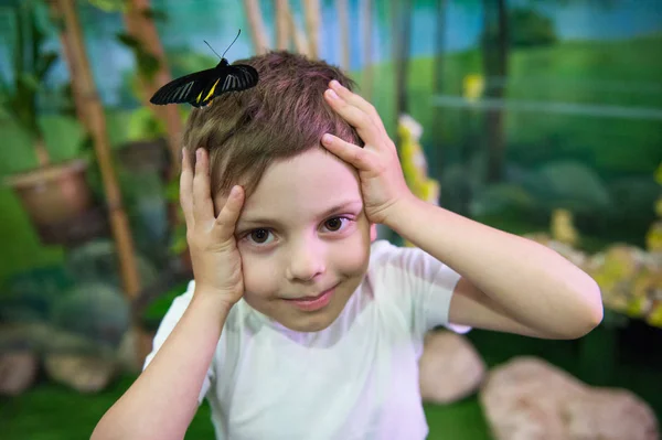 Grappig verrast glimlachend klein kind met grote vlinder op zijn hoofd — Stockfoto