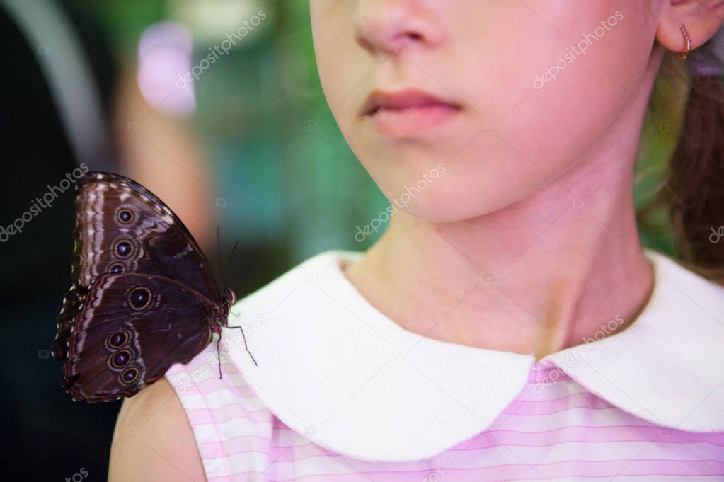 close up of cute little girl with tropical butterfly sitting on her shoulder