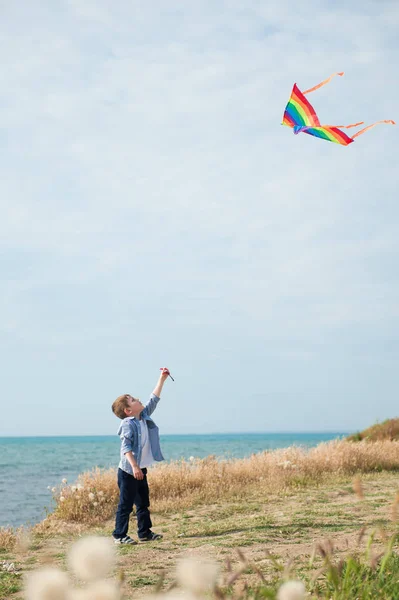 Ragazzo lancia aquilone colorato sulla costa panoramica dell'oceano — Foto Stock