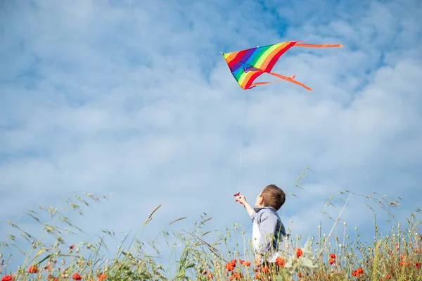 Piccolo ragazzo caucasico tiene stringa di aquilone volare nel cielo blu con le nuvole in estate con copyspace — Foto Stock