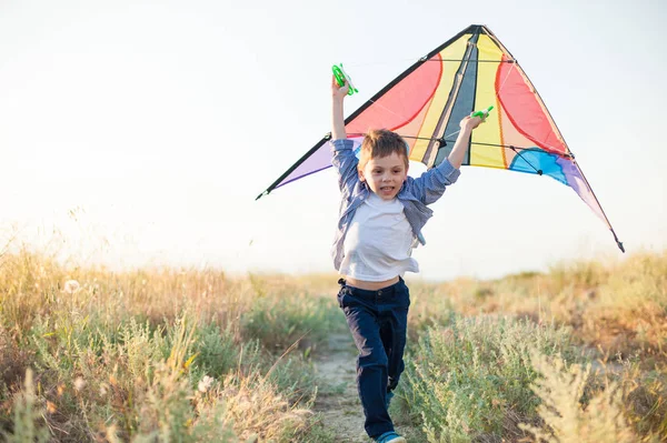 Fericit frumos băiețel care rulează cu zmeu colorat în mâinile sale deasupra capului — Fotografie, imagine de stoc