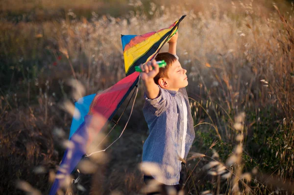 Sognante carino bambino con gli occhi chiusi mantiene aquilone colorato sopra la testa nel campo — Foto Stock