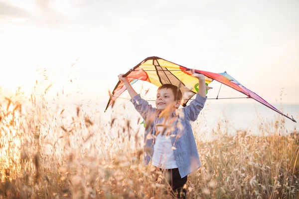 Feliz sorrindo menino segurando pipa colorida acima de sua cabeça no campo perto do horizonte do mar — Fotografia de Stock