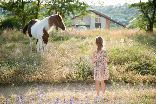 Vacker liten flicka ser på bundet häst på landsbygden i sommar — Stockfoto