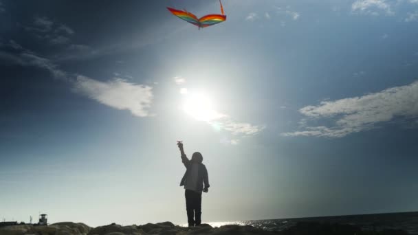 Silhouette Petit Enfant Contrôle Volant Cerfs Volants Colorés Sur Côte — Video