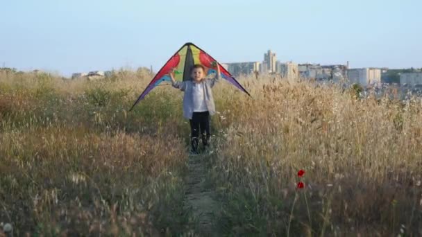 Gelukkig Mooi Jongetje Met Kleurrijke Kite Zijn Handen Overhead Zonsondergang — Stockvideo