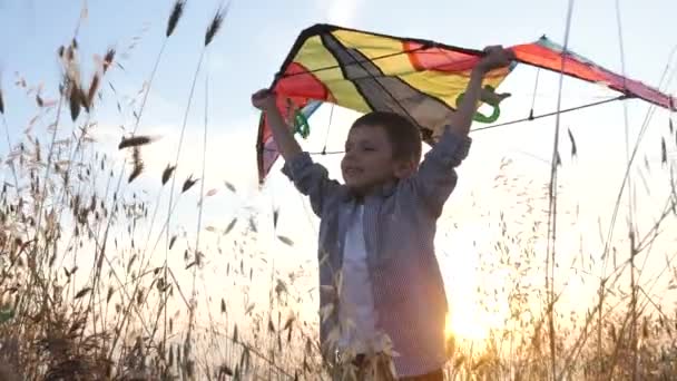 欢快的小男孩在日落时 头顶上放着五颜六色的风筝站在草地上 阳光温暖的夏日傍晚照亮了我 — 图库视频影像